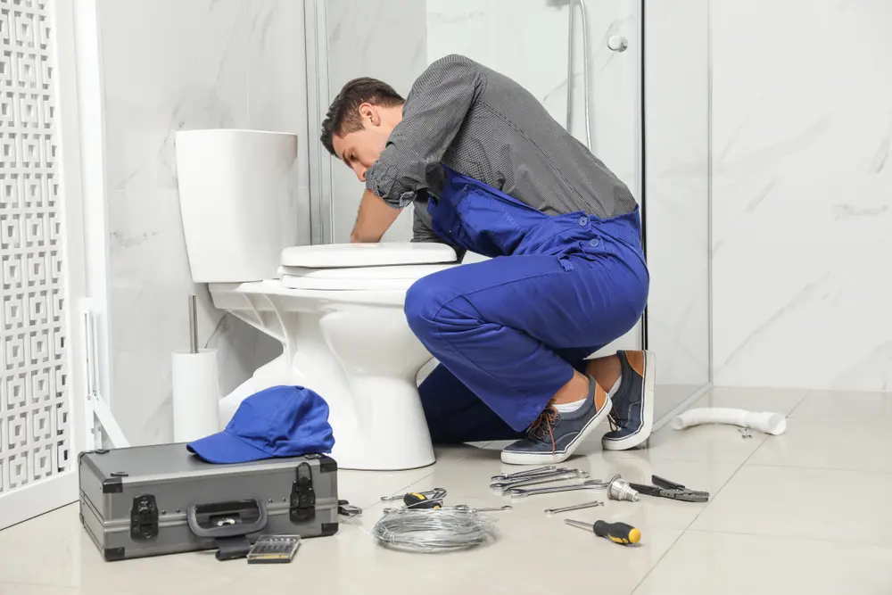 Toilet Installation in Makena